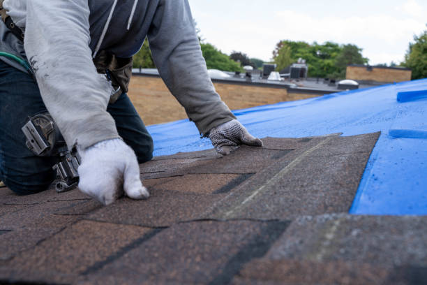 Best Flat Roof Repair Services  in Rocky River, OH